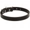 Samoyed Leather Dog Collar 1 inch Wide