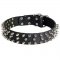 Leather Samoyed Collar with 3 Rows of Nickel Spikes