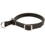 Samoyed Leather Choke Collar