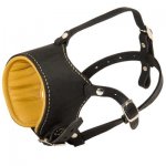 Snout Short Leather Samoyed Muzzle Padded with Nappa Leather
