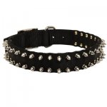 Samoyed Nylon Collar Spiked