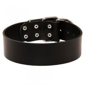 Extra Wide Leather Samoyed Collar for Professional Training