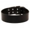 Extra Wide Leather Samoyed Collar for Professional Training
