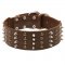 Extra Wide Leather Spiked and Studded Samoyed Collar
