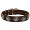 Leather Samoyed Collar with Blue Stones for Stylish Walking