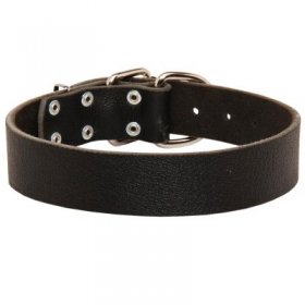 Wide Leather Samoyed Collar for Training and Walking