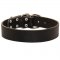 Wide Leather Samoyed Collar for Training and Walking