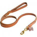 Walking and Training Leather Samoyed Leash with Comfy Handle