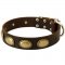 Designer Leather Samoyed Collar with Oval Plates