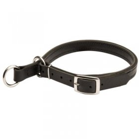 Samoyed Leather Choke Collar