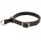 Samoyed Leather Choke Collar