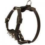 Durable Spiked Leather Puppy Samoyed Harness