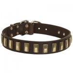 Leather Samoyed Collar with Awesome Brass Plates