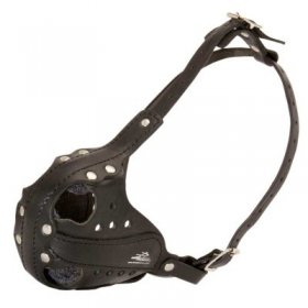 Leather Samoyed Muzzle for Agitation Training and Military Service