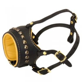 Open Nose Studded Leather Samoyed Muzzle With Nappa Padding