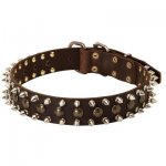 3 Rows Leather Spiked and Studded Samoyed Collar