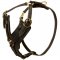 Padded Leather Samoyed Harness for Agitation Training