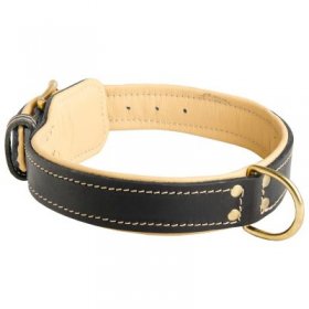Padded Leather Samoyed Collar