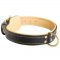 Padded Leather Samoyed Collar