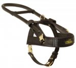 Guide and Assistance Leather Samoyed Harness