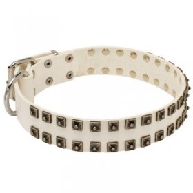 White Leather Samoyed Collar with Old Nickel Square Studs for Daily Dog Walking - NEW OFFER