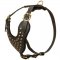 Adjustable Studded Leather Samoyed Harness for Fashion Walking
