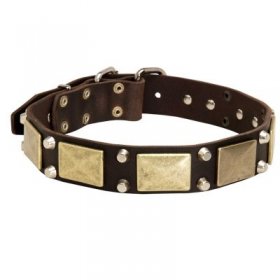 Leather Samoyed Collar with Studs and Plates
