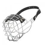 'The Silencer' Wire Cage Samoyed Muzzle With One Strap