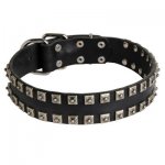 New Leather Samoyed Collar - Fashion Exclusive Design - "Caterpillar"
