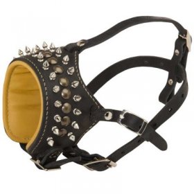 Royal Spiked and Studded Leather Samoyed Muzzle