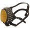 Royal Spiked and Studded Leather Samoyed Muzzle