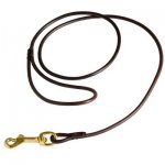 Fully Beneficial Show Leather Samoyed Leash - Comfort for You and Your Dog