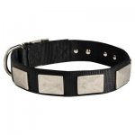 Nylon Samoyed Collar Massive Nickel Plates