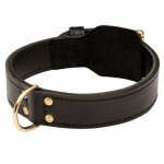 Training 2 Ply Leather Samoyed Collar