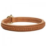 Gorgeous 2 Ply Leather Choke Samoyed Dog Breed Collar