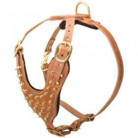 Brass Spiked Leather Samoyed Harness for Fashion Walking