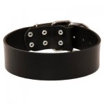Extra Wide Leather Samoyed Collar for Professional Training