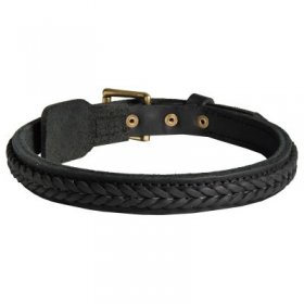 Samoyed Braided Leather Collar 1 Inch
