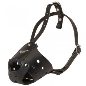 Everyday Leather Samoyed Muzzle for Training