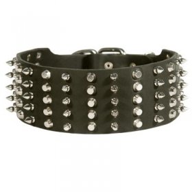 Samoyed Leather Collar Spiked and Studded