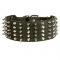 Samoyed Leather Collar Spiked and Studded