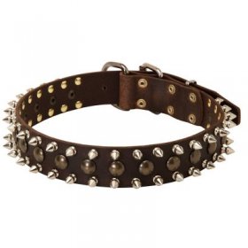 3 Rows Leather Spiked and Studded Samoyed Collar