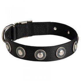 Samoyed Nylon Dog Collar with Circles Decoration