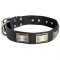 Leather Samoyed Collar Massive Nickel Plates