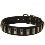 Samoyed Leather Collar with Shiny Plates
