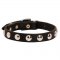 Beautiful Leather Samoyed Collar Decorated with Half-Ball Studs