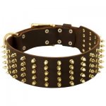 Wide Spiked Leather Samoyed Collar