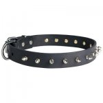 Samoyed Leather Collar Spiked 30 mm
