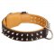 Spiked Samoyed Collar Padded with Nappa Leather