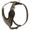 Adjustable Leather Samoyed Harness Studded for Fashion Walking